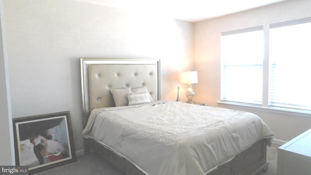 12507 Olivine Ct, Hagerstown, MD 21740 - carpeted bedroom with baseboards