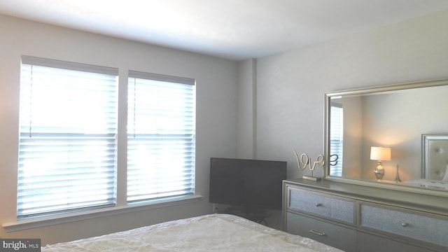 12507 Olivine Ct, Hagerstown, MD 21740 - bedroom featuring multiple windows