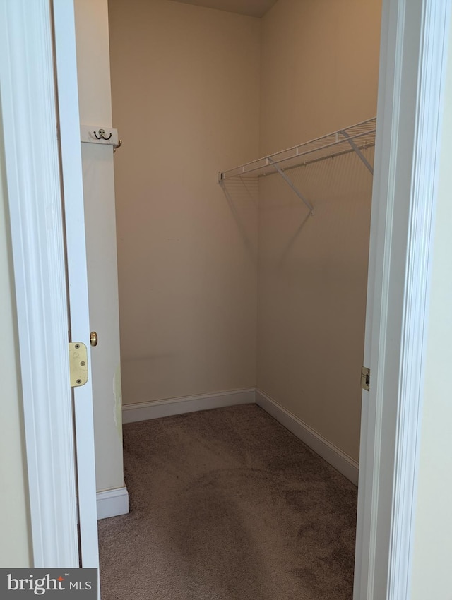 43 Helene Ct, Hamburg, PA 19526 - walk in closet with carpet flooring