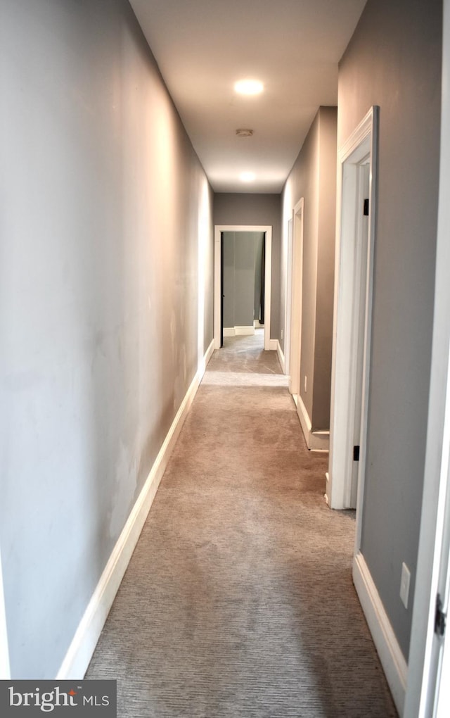 607 N Broom St, Wilmington, DE 19805 - hallway with carpet and baseboards