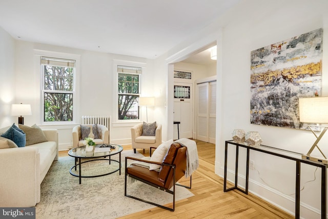 3105 17th St NW, Washington, DC 20010 - living room featuring wood finished floors and radiator