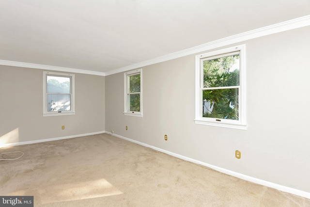 15 Constance Dr, Hamilton, NJ 08620 - spare room featuring healthy amount of natural light, crown molding, and carpet flooring