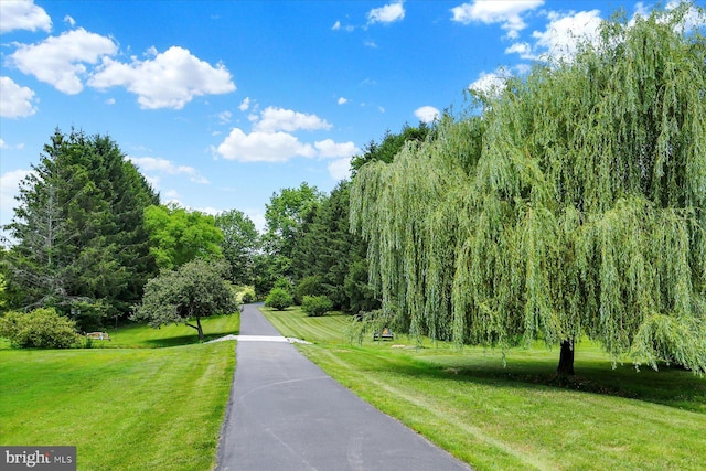 615 Beinhower Rd, Etters, PA 17319 - view of community featuring a yard and a forest view