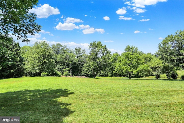 615 Beinhower Rd, Etters, PA 17319 - view of green lawn