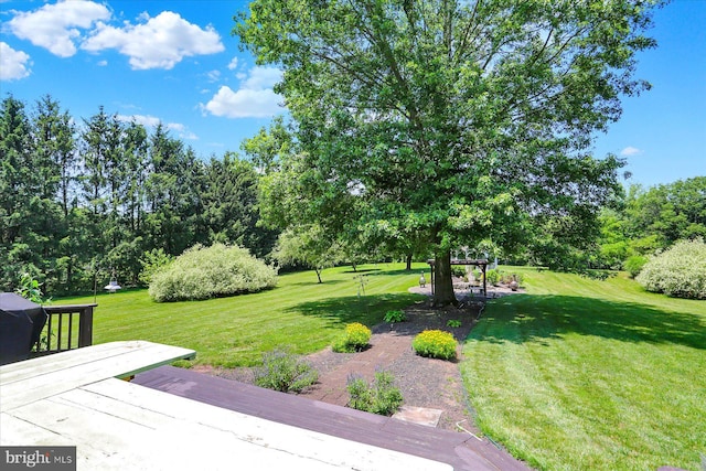 615 Beinhower Rd, Etters, PA 17319 - view of grassy yard
