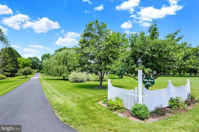 615 Beinhower Rd, Etters, PA 17319 - view of road featuring street lights