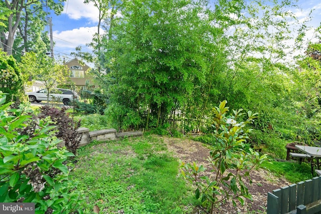 643 Comly Ave, Langhorne, PA 19047 - view of yard