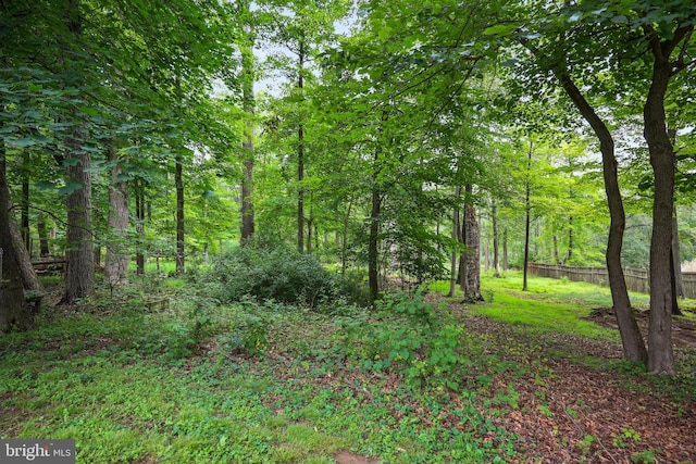 148 Reservoir Rd, Hopewell, NJ 08525 - view of wooded area