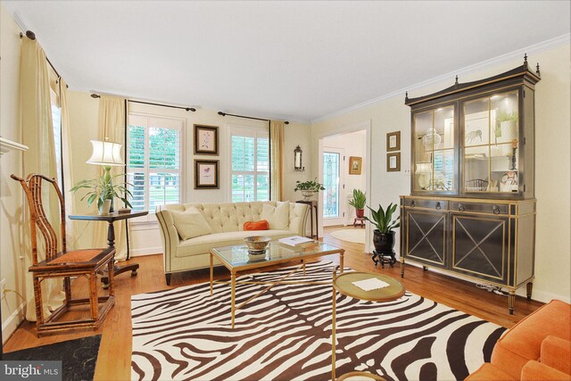 15508 Summer Grove Ct, Gaithersburg, MD 20878 - living area with wood finished floors and crown molding