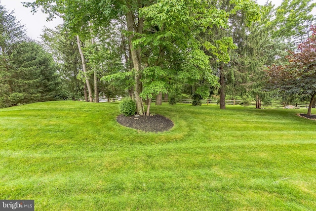 231 Caleb Dr, West Chester, PA 19382 - view of yard