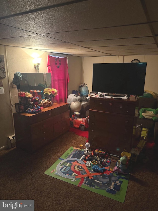 71 Rock Rd, Pine Grove, PA 17963 - rec room with carpet and a paneled ceiling