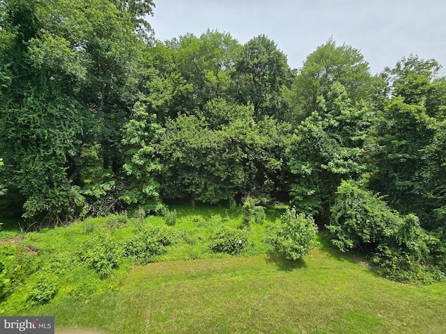921 Sandy Run Rd, Baltimore, MD 21220 - view of nature
