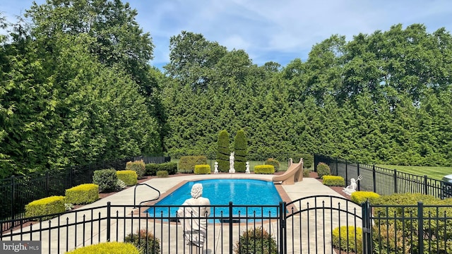908 W S St, Smyrna, DE 19977 - view of swimming pool with a water slide, a patio area, and a gate