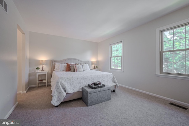 642 Lamplighter Way, Hockessin, DE 19707 - bedroom with multiple windows and carpet floors