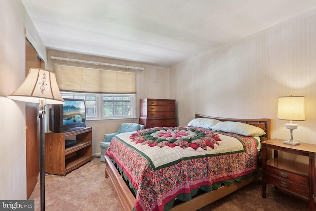 21 Hemmings Way, Lawnside, NJ 08045 - view of carpeted bedroom