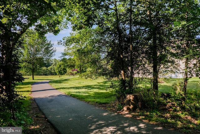202 Park Knl, Princeton, NJ 08540 - view of property's community with a yard