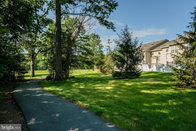202 Park Knl, Princeton, NJ 08540 - view of road