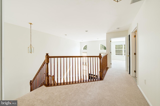 202 Park Knl, Princeton, NJ 08540 - hallway featuring an upstairs landing and carpet