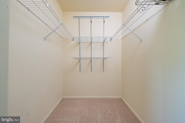 202 Park Knl, Princeton, NJ 08540 - walk in closet with carpet floors