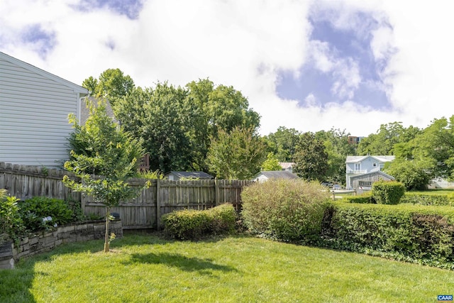 324 NW 8th St, Charlottesville, VA 22903 - view of yard