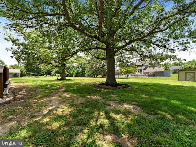 713 Franklinville Rd, Mullica Hill, NJ 08062 - view of grassy yard with a storage shed