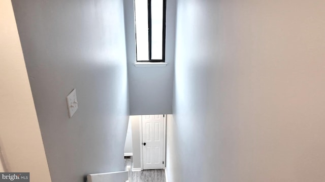 54 Liborio Ln, New Castle, DE 19720 - stairway with wood finished floors and baseboards
