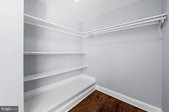 239 W Lafayette Ave, Baltimore, MD 21217 - walk in closet featuring dark wood-type flooring