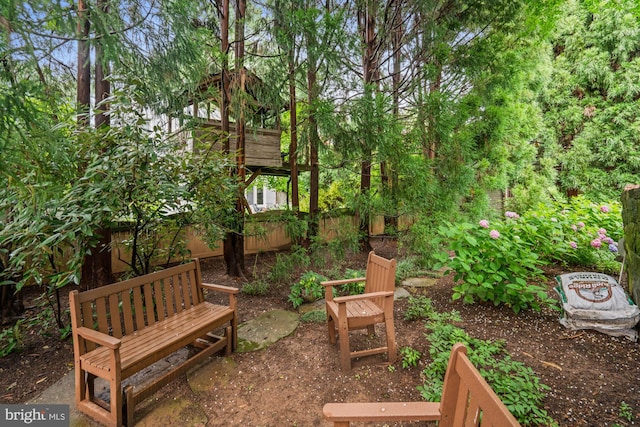2723 Washington Ave, Chevy Chase, MD 20815 - view of yard