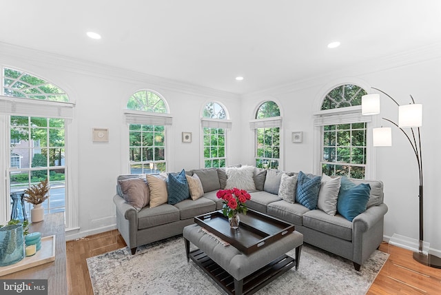 10111 Ballynahown Cir, Fairfax, VA 22030 - living room featuring wood finished floors, crown molding, and recessed lighting