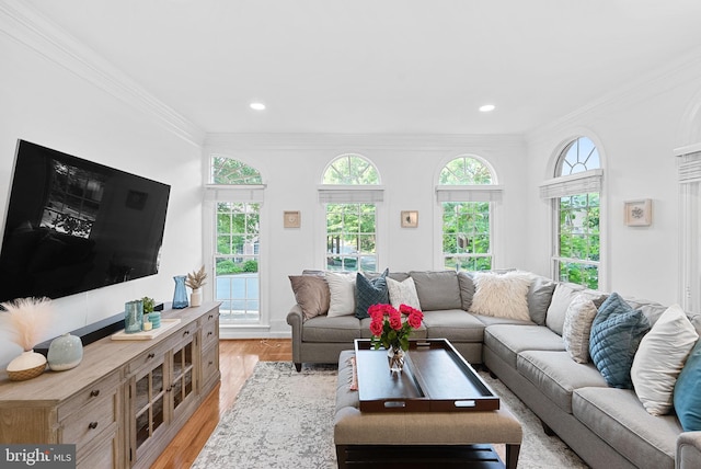 10111 Ballynahown Cir, Fairfax, VA 22030 - living room featuring light wood finished floors, ornamental molding, and recessed lighting