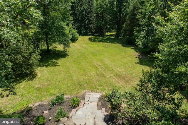 860 Temple Rd, Pottstown, PA 19465 - view of grassy yard