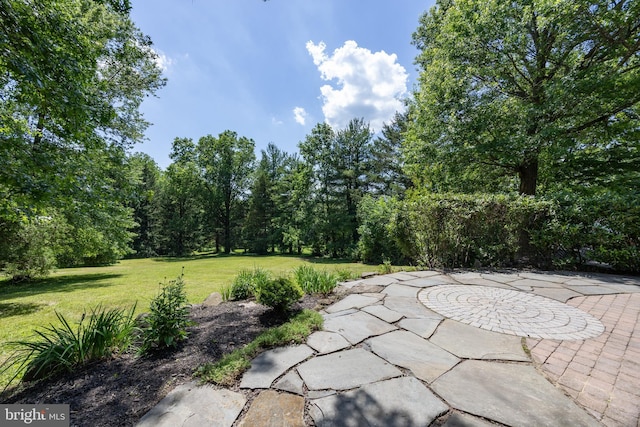 860 Temple Rd, Pottstown, PA 19465 - view of patio