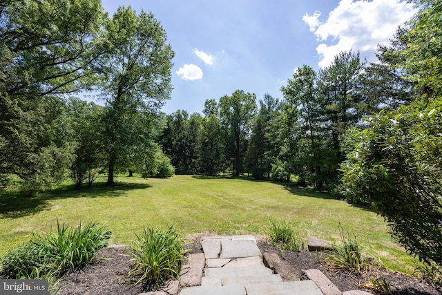 860 Temple Rd, Pottstown, PA 19465 - view of green lawn