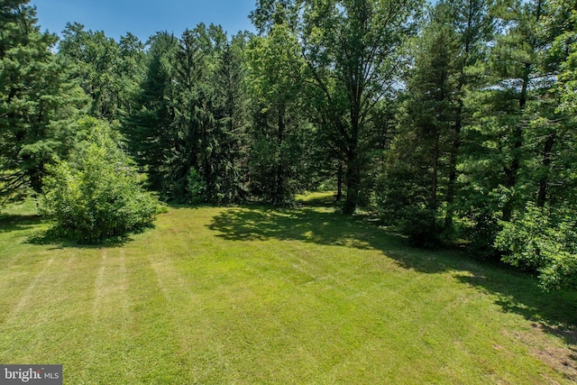 860 Temple Rd, Pottstown, PA 19465 - view of grassy yard with a forest view