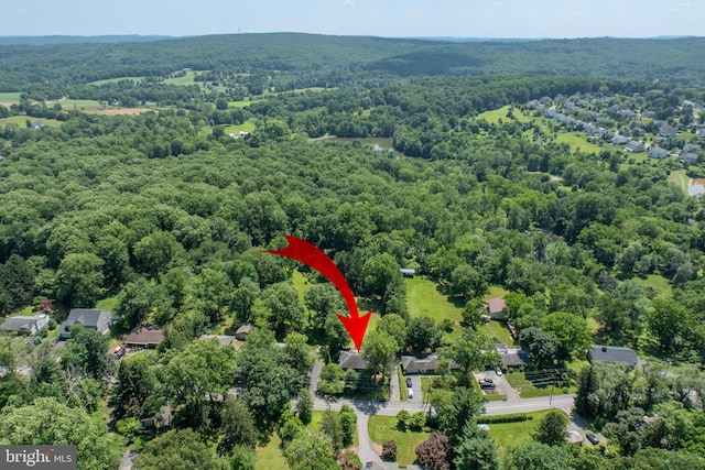 860 Temple Rd, Pottstown, PA 19465 - aerial view of a forest