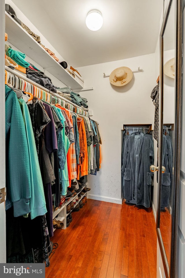 5 Charcoal Ln, Mohnton, PA 19540 - spacious closet with hardwood / wood-style floors