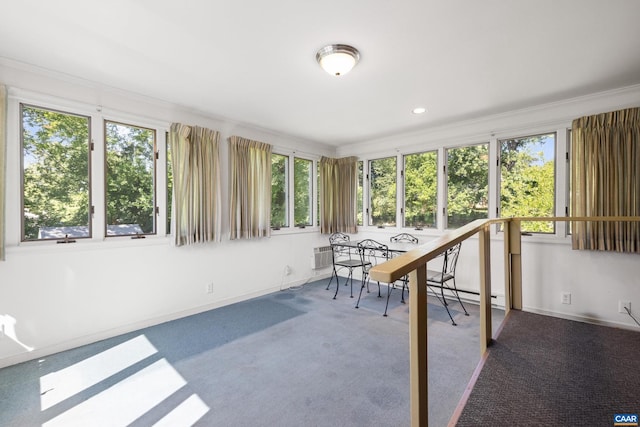 608 Davis Ave, Charlottesville, VA 22901 - sunroom / solarium featuring plenty of natural light, crown molding, and carpet flooring