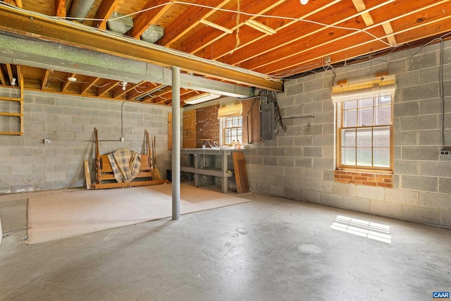 608 Davis Ave, Charlottesville, VA 22901 - below grade area with electric panel and concrete block wall