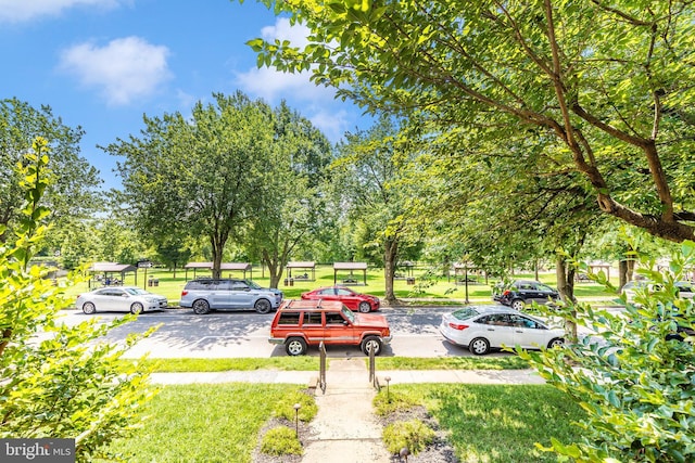 301 Fleming Ave, Frederick, MD 21701 - view of yard