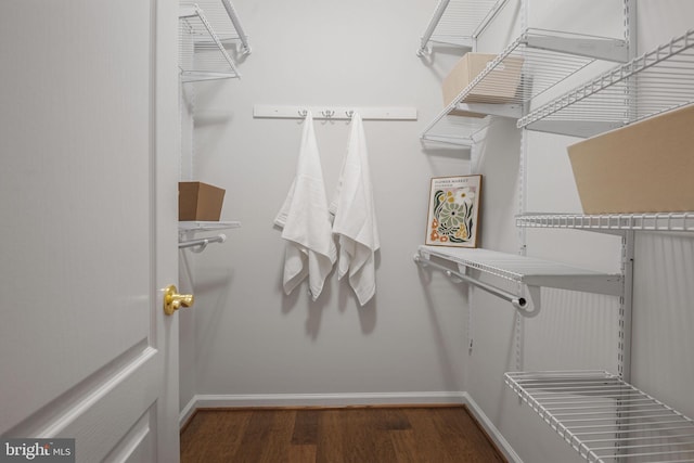 44357 Oakmont Manor Sq, Ashburn, VA 20147 - walk in closet featuring wood finished floors