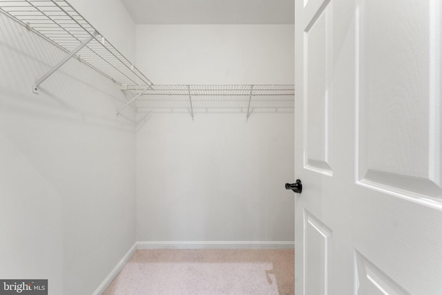 12560 Kempston Ln, Woodbridge, VA 22192 - walk in closet featuring carpet floors