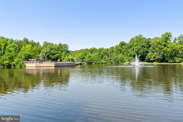12560 Kempston Ln, Woodbridge, VA 22192 - water view featuring a forest