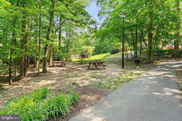 12560 Kempston Ln, Woodbridge, VA 22192 - view of property's community