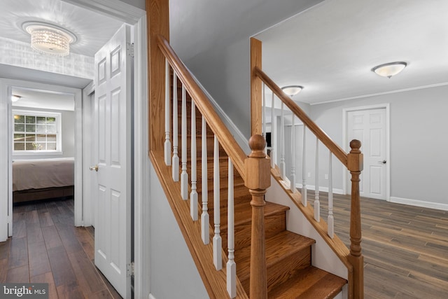 13 Weirwood Rd, Wayne, PA 19087 - stairs featuring hardwood / wood-style floors and ornamental molding