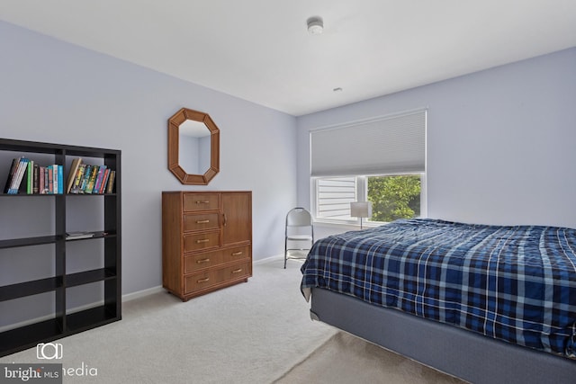 243 Prince William Way, Chalfont, PA 18914 - bedroom with light carpet and baseboards