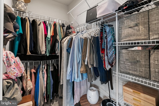 28 Boot Ln, Gilbertsville, PA 19525 - view of spacious closet