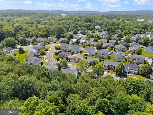 14512 Penderlea Ct, Gainesville, VA 20155 - aerial perspective of suburban area with a forest