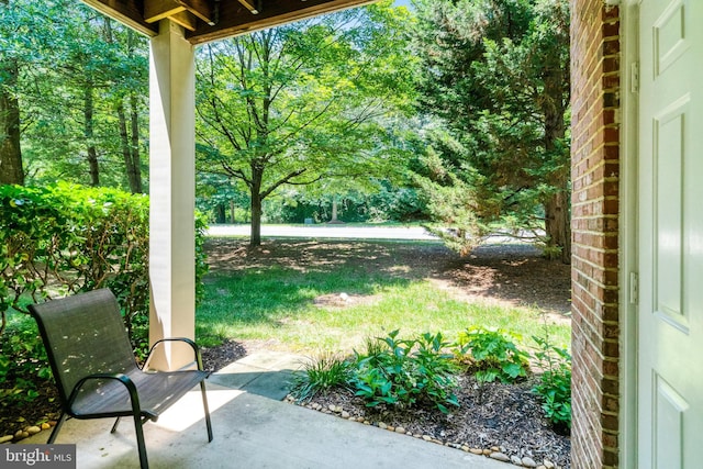 6532 Grange Ln Unit 103, Alexandria, VA 22315 - view of patio
