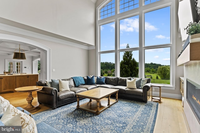 2740 Allen Glen Dr, Mechanicsburg, PA 17055 - living area featuring a high ceiling, a glass covered fireplace, light wood-type flooring, arched walkways, and crown molding
