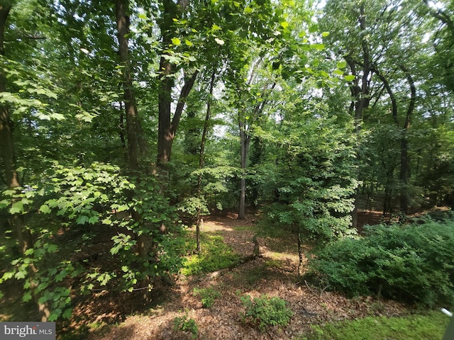 540 Weadley Rd, King Of Prussia, PA 19406 - view of woods